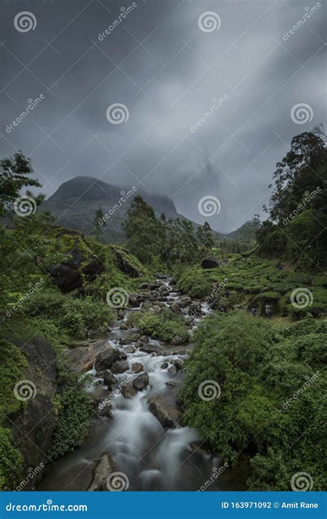 Waterfall on the Foothills of Eravikulam National Park,Munnar,Kerala,India Stock Photo - Image ...