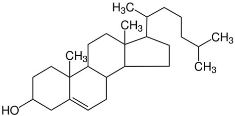 Cholesterol Ester Structure