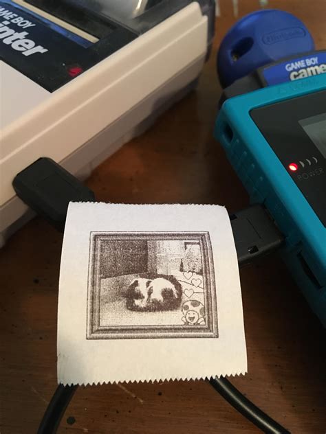 My best Game Boy Camera+Printer creation yet! : r/retrogaming