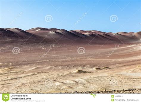 Paracas National Reserve stock image. Image of reserve - 125057515