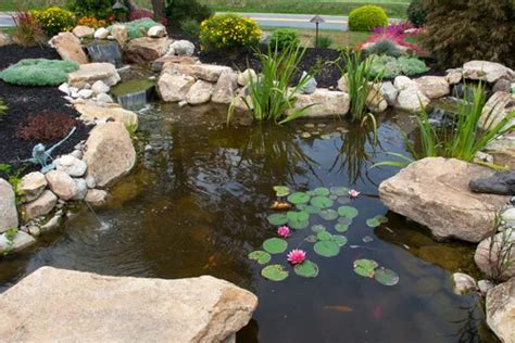 Beautiful Ponds and Waterfalls for Backyard Living - Aquascape, Inc.