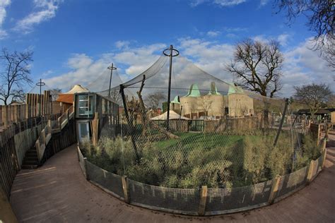 London Zoo Tiger Enclosure - Base Structures