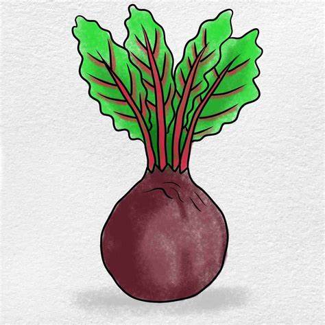 How to Draw a Beet - HelloArtsy