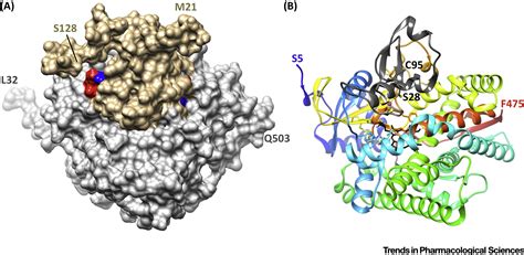 Recent Structural Insights into Cytochrome P450 Function: Trends in ...