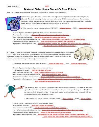 Darwin’s Natural Selection Worksheets Answer Key