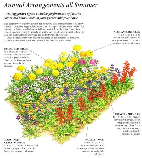 Annual Cut Flower Garden Layout | Ideas for the Garden | Pinterest