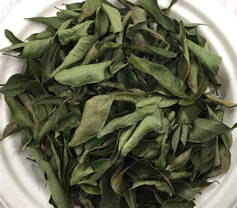 Dried Curry Leaves | Troyer's Spices