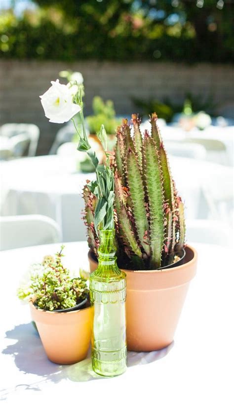 Cactus Centerpieces | Cactus centerpiece, Cactus, Cactus plants