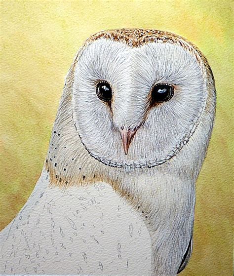 Step by Step Owl Painting Learn to Paint Watercolor Tutorial | Etsy