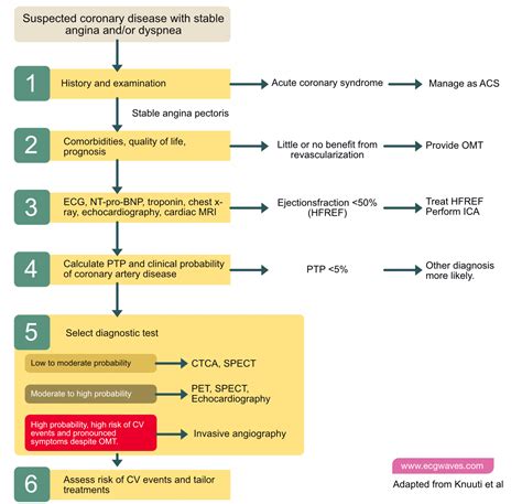 Stable Coronary Artery Disease (Angina Pectoris): Diagnosis, Evaluation, Management ...