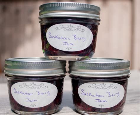 Saskatoon Berry Jam Recipe - (3.8/5)