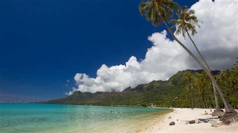 6 Best beaches in Moorea island, French Polynesia - Ultimate guide ...