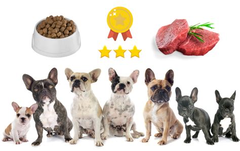 Top 6 Dog Foods for French Bulldog Puppies - Rocky Kanaka