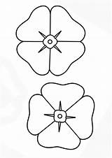 Coloring Pages  Printable Poppy Flower sketch template