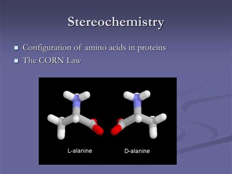 PPT - Protein Structure Basics PowerPoint Presentation, free download - ID:375104