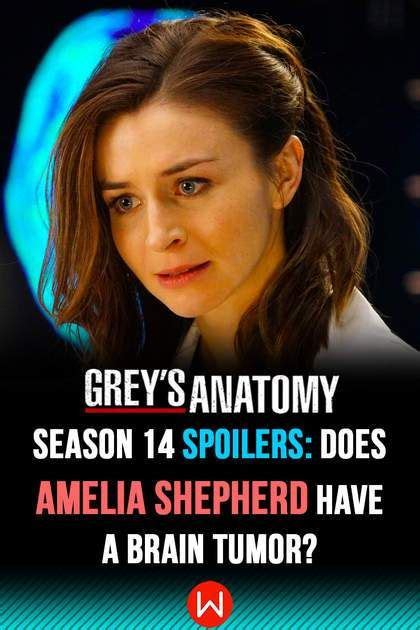 Grey s anatomy season 14 spoilers does amelia shepherd have a brain tumor – Artofit