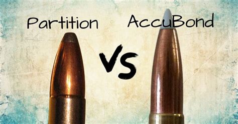 AccuBond vs Partition: What’s the Difference - eatingthewild.com