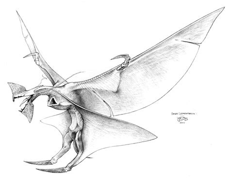 Concept study for the film Avatar, Great Leonopteryx (2005) by Wayne D ...