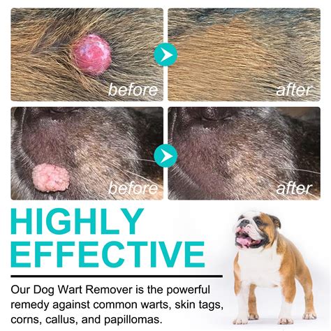 Dog Wart Vs Skin Tag: Vet-Reviewed Differences Explained, 51% OFF