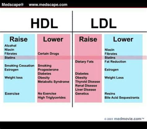 HDL vs LDL | Hdl ldl, What causes high cholesterol, Cholesterol ...