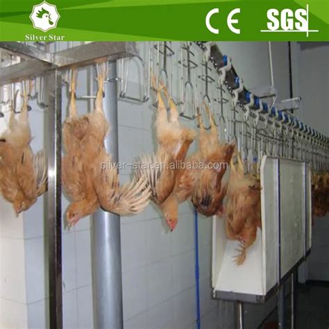 Automatic Chicken Slaughter Equipment Slaughter House Use For Poultry Farm - Buy Chicken ...