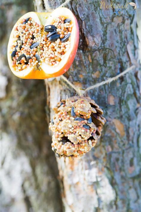 How to Make The Best Pine Cone Bird Feeder - Natural Beach Living