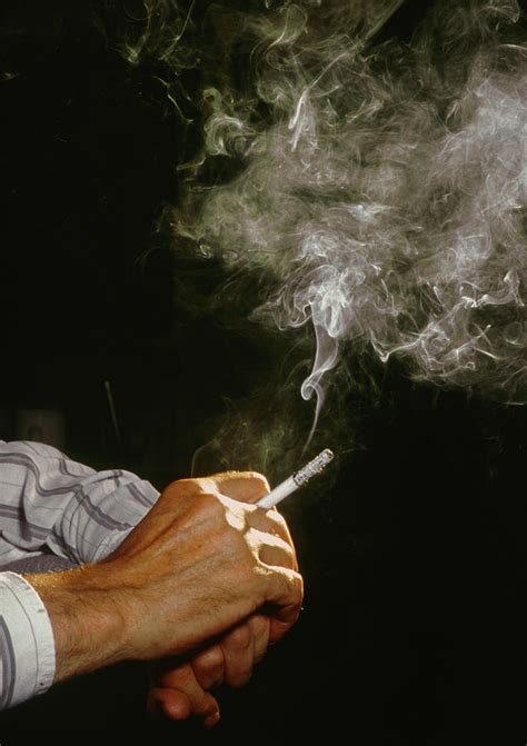 Hand Holding A Smoking Cigarette Photograph by Jim Varney/science Photo ...