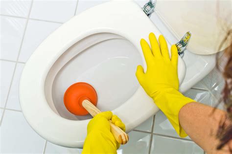 How to Unblock a Toilet Drain (6 Steps) | Guide | Tunnel Vision