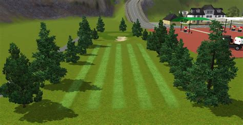 Simming in Magnificent Style: Golf course - fairway 1 for CAW