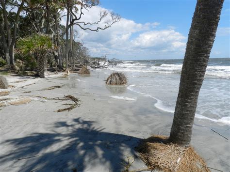 Hunting Island State Park SC: The Ultimate Guide - Two Get Lost