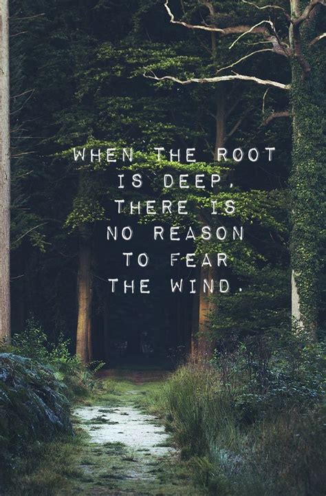 The 25+ best Roots quotes ideas on Pinterest | Family Quotes, Quotes ...