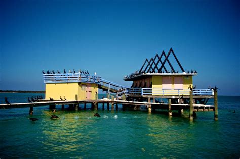 21 Best Miami Tours for Sightseeing, Eco-Excursions and More