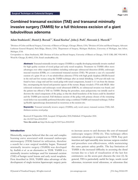 (PDF) Combined transanal excision (TAE) and transanal minimally invasive surgery (TAMIS) for a ...