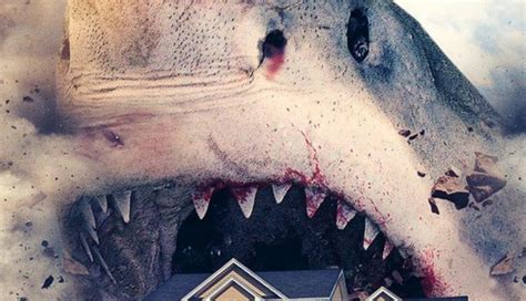 'House Shark' Trailer Brings Jaws Inside Your Home