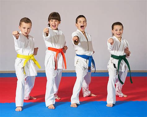 Martial Arts Pictures, Images and Stock Photos - iStock