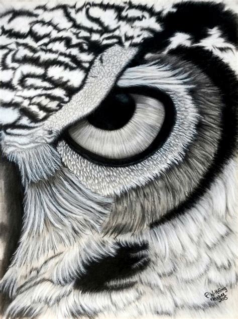 Owl Eyes Black And White Drawing