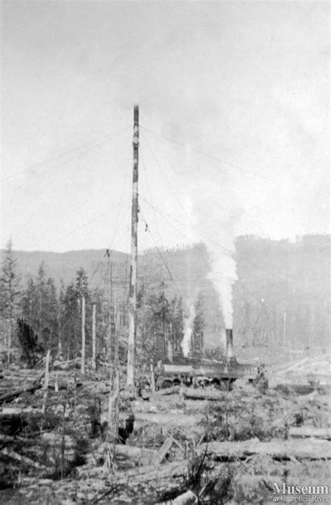 Rigged spar tree and steam donkey operating | Campbell River Museum ...