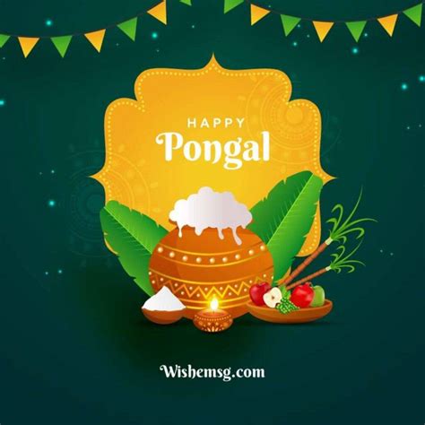 200+ Happy Pongal Wishes Quotes Images 2024 - Wishemsg.Com