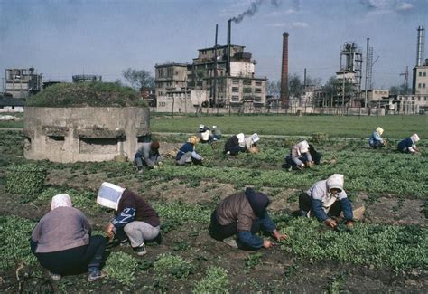 Color Photos of Daily Life in China in the 1970s ~ vintage everyday