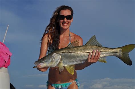 Fishing Tampa Bay - Capt. Jason Dozier