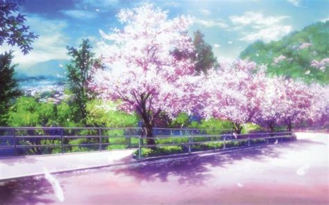 Scenery Cherry Blossom Anime