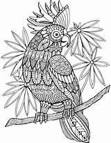 Coloring Pages Animals For Adults sketch template