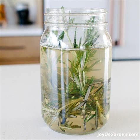 Uses for Rosemary: How to Enjoy this Aromatic Plant