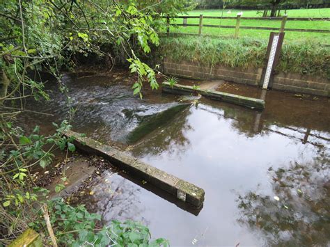 Habitat preferences of the critically endangered European eel - Inside Ecology