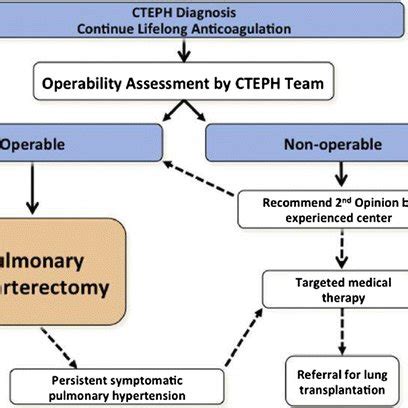 CTEPH treatment algorithm proposed at the 5th World Symposium on... | Download Scientific Diagram