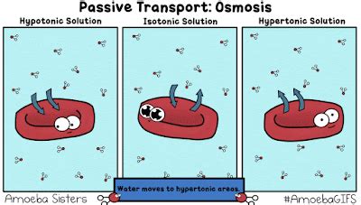 Anna Science Lab: Osmosis