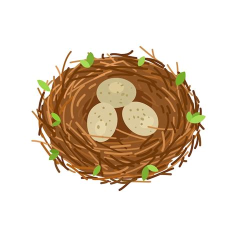 Premium Vector | Birds nest with 3 eggs branches and leaves Vector illustration isolated on ...