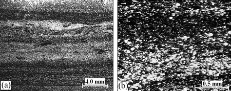 2 Siltstone texture as seen on thin slices by optical microscopy on two... | Download Scientific ...