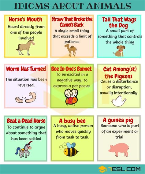 Animal Idioms: 165 Useful Animal Idioms from A-Z