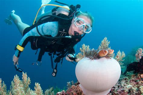 Scuba diving in Alona and Panglao, Bohol | ZuBlu